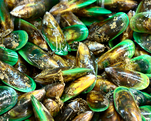 Colorful organic meal